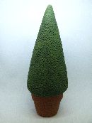 Buchsbaum rd *35h60cm TERRA-GRUEN *35h60cm
