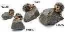 Igel a.Stein BRAUN 18x15x13cm