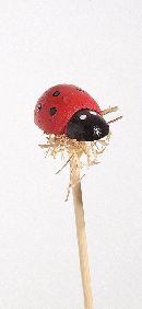 Marienkäfer ROT 97926 Stecker 2,5cm