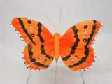 Schmetterling