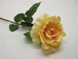 Rosen