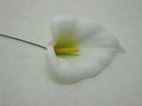 Blumen
