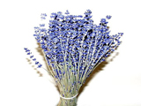 Lavendel natur