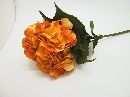 Hortensie ORANGE 67cm