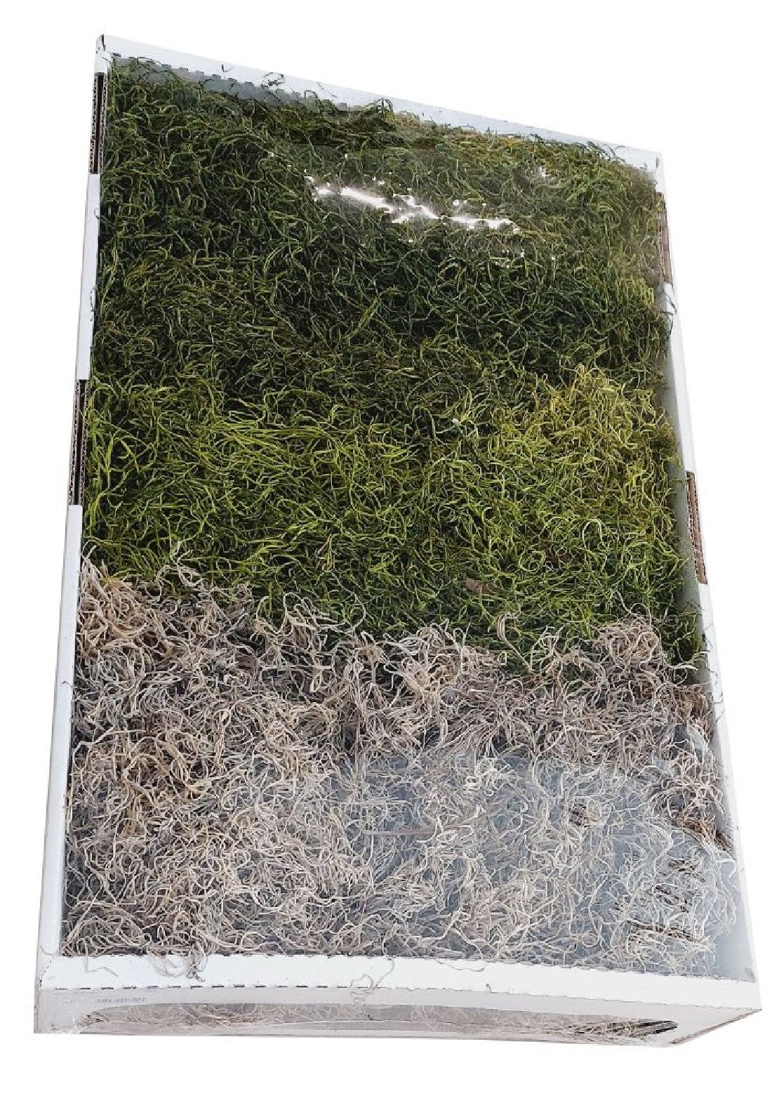 Dschungelmoos natur - apfelgrün - moosgrün Mix SPP-1kg