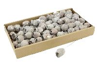 Bellgum am Draht WEISS ABGEW. 1900 226 Glockenfrucht