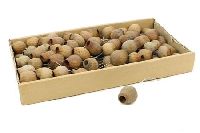 Bellgum am Draht NATUR 10900 Glockenfrucht