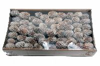 Sabulosum am Draht WEISS ABGEW. 109013226 