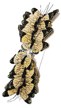 Schmetterling Stecker APRICOT 681 08 7cm Federschmetterling